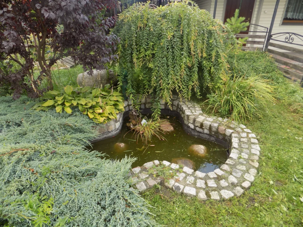 DSCN0681